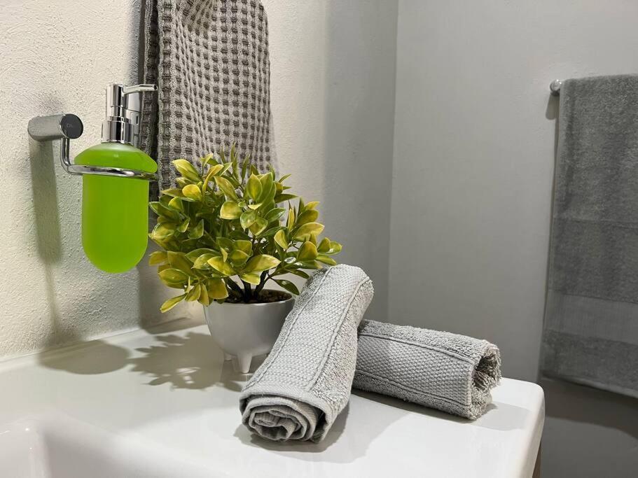Depa Boho Al Sur Pet Friendly Piscina Gym Sala De Cine Apartment Guadalajara Luaran gambar
